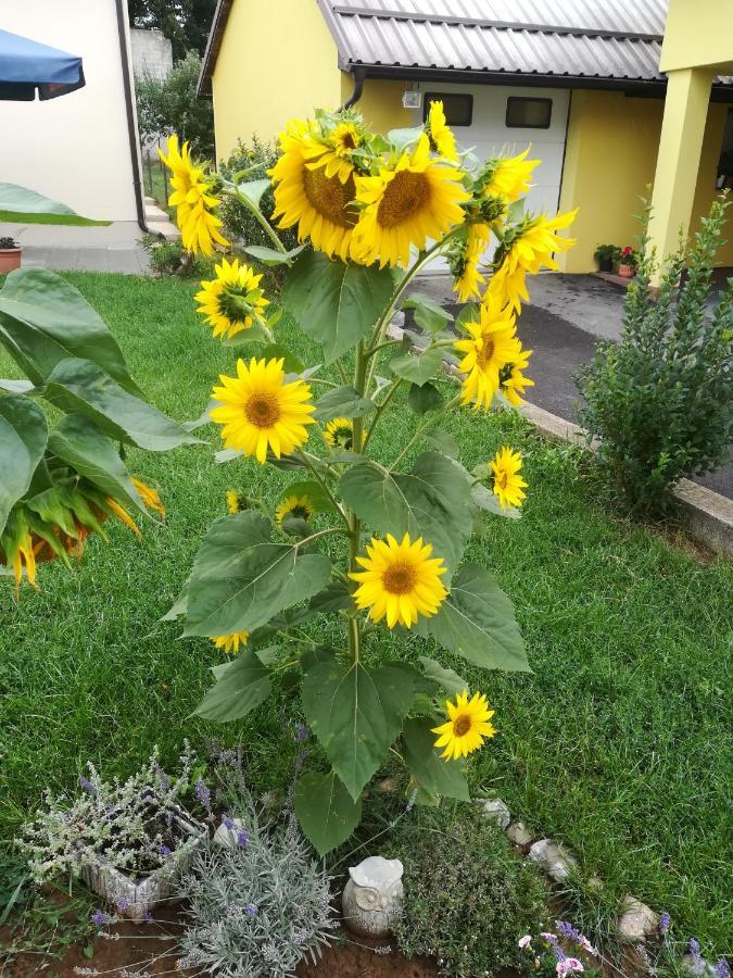 Kuca Za Odmor 